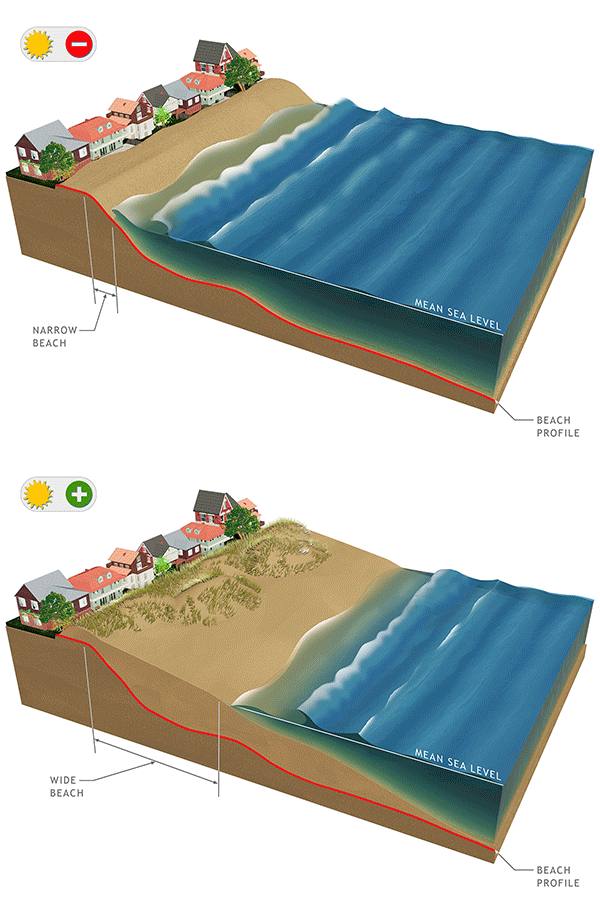 Graphic #12: Beach Restoration