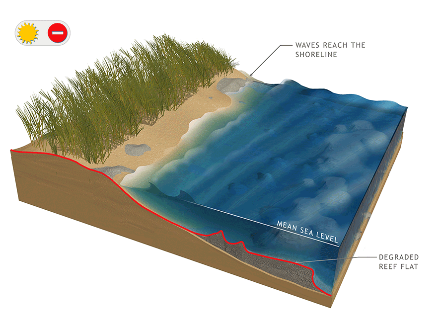 Graphic #18: Reefs